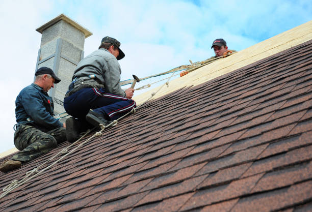 Best Shingle Roofing Installation  in Mount Gilead, NC